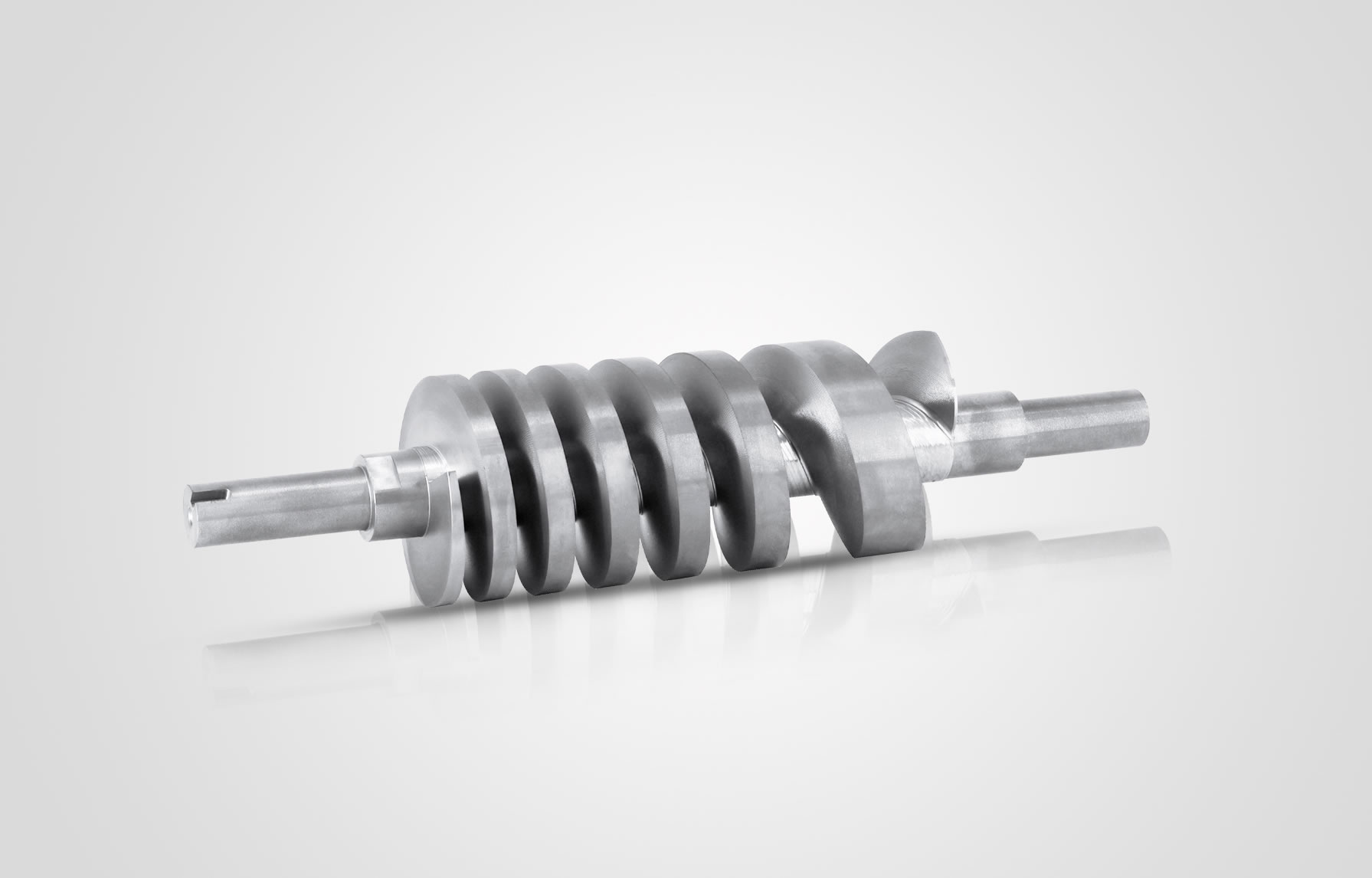 變距螺旋真空泵轉子